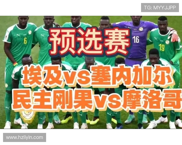世预赛精彩对决埃及队迎战刚果队争夺晋级名额