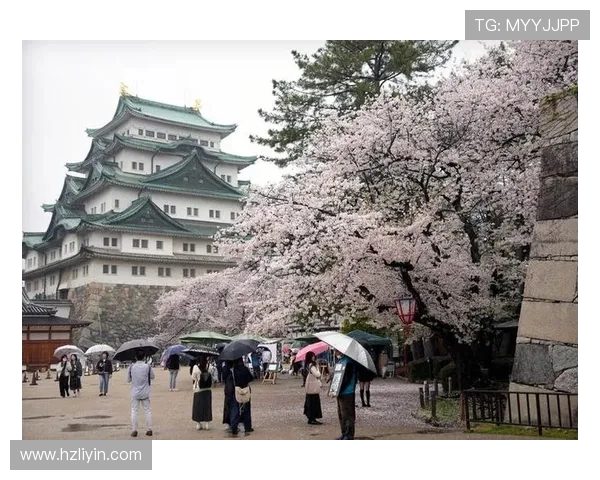 大板樱花迎战名古屋全力争胜展现球队实力与风采